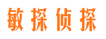 静宁市侦探调查公司